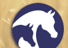 Arabian Horse Association