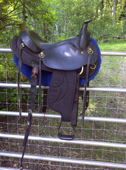 Arabians In Motion: Horse Equipment for Sale